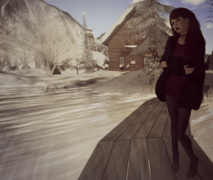 Snapshot_020