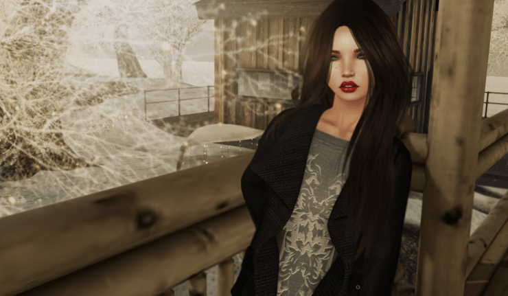 Snapshot_022